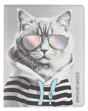 Дневник шк. 