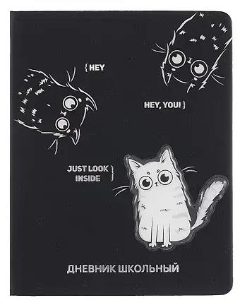 Дневник шк. 