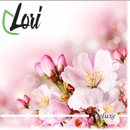 Салфетки Lori Deluxe Цветы вишни 3х-слойные 33х33 см, 20 шт