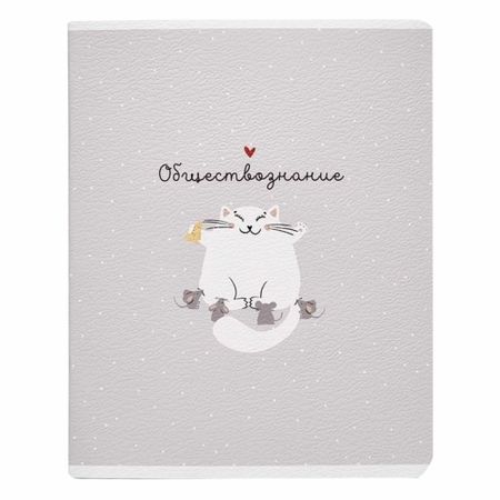 Тетрадь общая ученическая Be Smart, 165х203 мм, 48 л., клетка