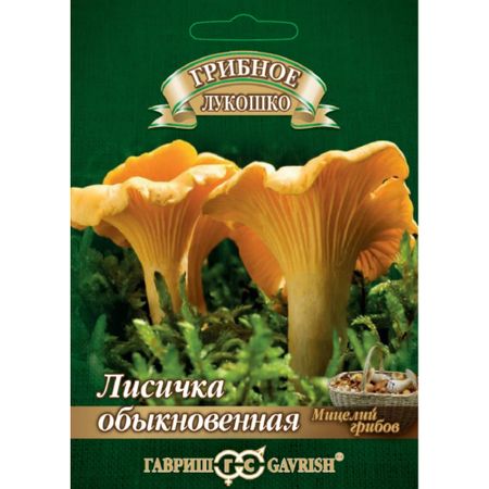 Семена Гавриш Лисички на зерновом субстрате, больш. пак. 15 мл