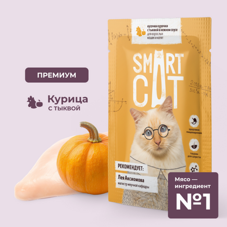 Консервы, паучи Smart Cat паучи Паучи для взрослых кошек и котят кусочки курочки с тыквой в нежном соусе. Влажный корм (85 г)