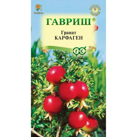 Семена Гавриш Гранат Карфаген (карликовый)x 5 шт