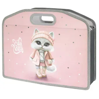 Папка для тетрадей А4 