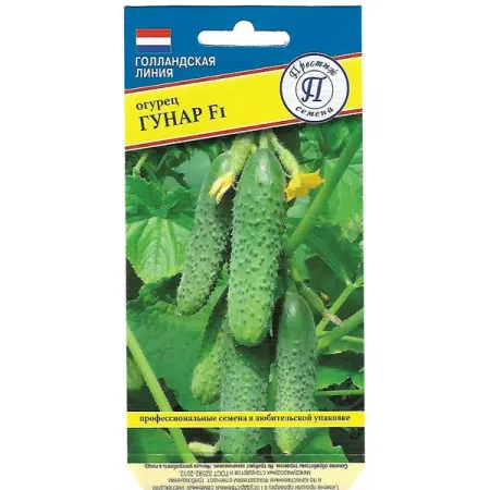 Семена Огурец «Гунар» F1 отруби ржаные хрустящие бородинские 200 гр