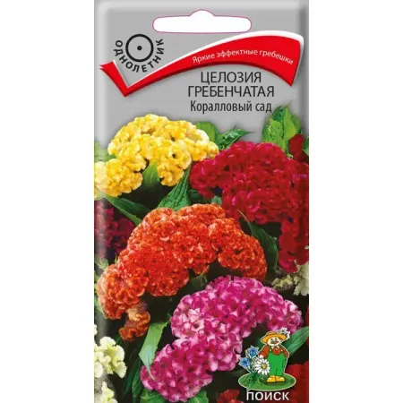 Семена Целозия Гребенчатая «Коралловый сад»