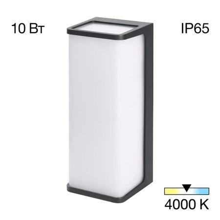 Уличный настенный светодиодный светильник Citilux Domus CLU0802