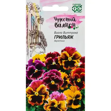 Семена цветов Гавриш виола Грильяж семена гавриш настурция аляска смесь 1 0 г