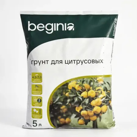 Грунт BEGINIA для цитрусовых 5 л три книги hvv по рисованию пейзажей для подростков и молодых взрослых