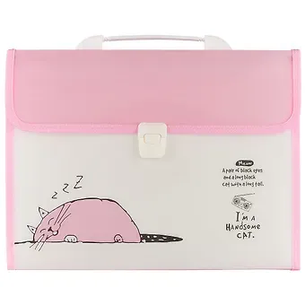 Портфель «Handsome cat», А4, 12 отделений