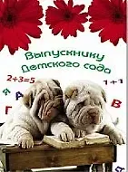 Папка адресная 