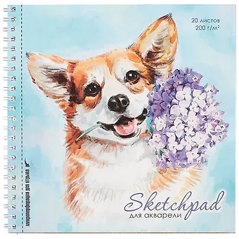 Скетчбук 195*195 20л 