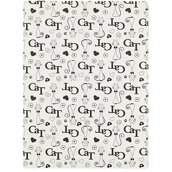 Тетрадь Asac, Cat, B5, 48 листов