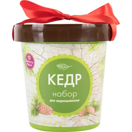 Кедр в горшке водка kremlin award в подарочной упаковке россия 0 7 л