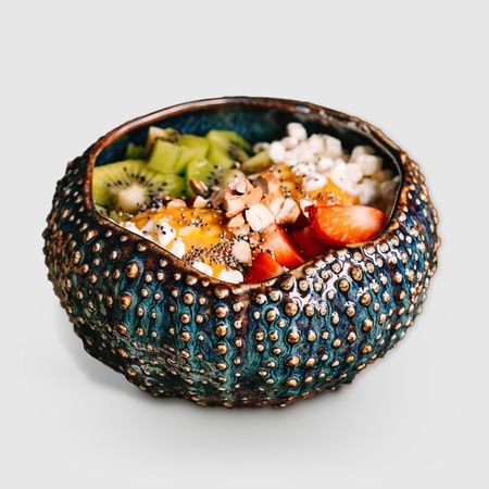 Салатник Велес Полночь волшебства Морской ёж 700 мл фриц лейбер корабль отплывает в полночь