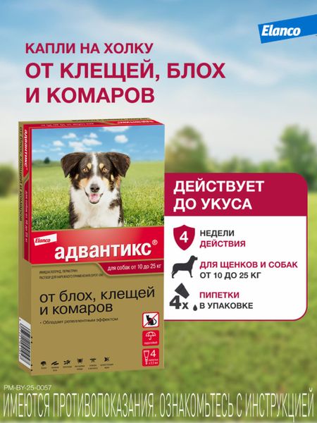 От блох и клещей Elanco Адвантикс®  для собак от 10 до 25 кг для защиты от блох, иксодовых клещей и летающих насекомых и переносимых ими заболеваний. 4 пипетки в упаковке. (10 г)