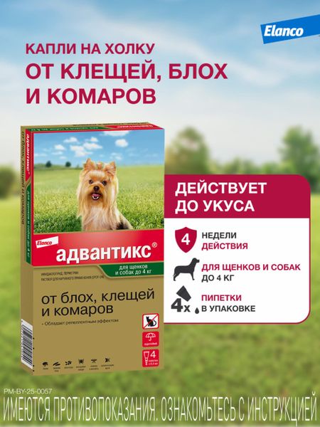 От блох и клещей Elanco Адвантикс®  для собак весом до 4 кг для защиты от блох, иксодовых клещей и летающих насекомых и переносимых ими заболеваний. 4 пипетки в упаковке. (10 г)