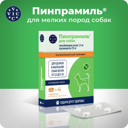 От глистов Doctor Vic Пинпрамиль 2,5мг/25мг, для щенков и взрослых собак, 4 табл (4 таб.) грядущее прошлое три эссе о рождении гибели и надежде