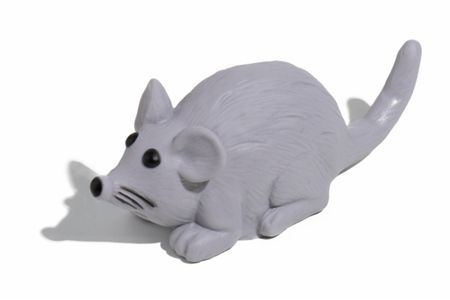 Игрушки WOGY Игрушка-пищалка для собак 