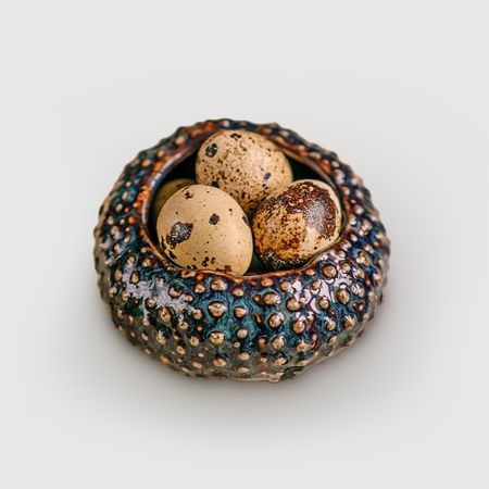 Соусник Велес Элессар морской ёж 150 мл