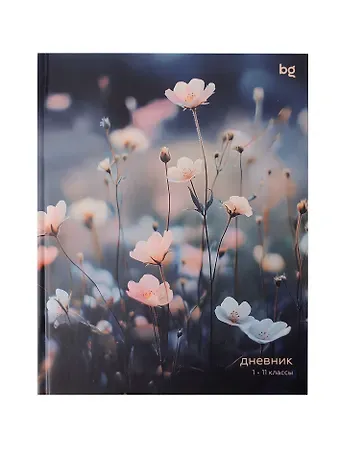 Дневник шк. 