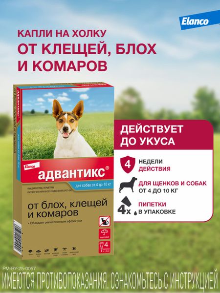 От блох и клещей Elanco Адвантикс®  для собак от 4 до 10 кг для защиты от блох, иксодовых клещей и летающих насекомых и переносимых ими заболеваний. 4 пипетки в упаковке. (10 г)