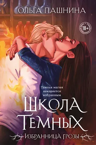 Ольга Олеговна Пашнина Школа темных. Избранница грозы (клатчбук)