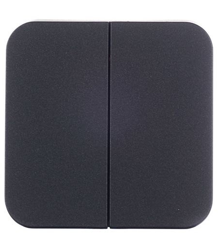 Выключатель Systeme Electric Blanca двухклавишный накладной антрацит (BLNVA105016)