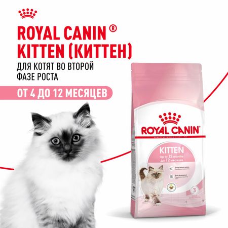 Еда Royal Canin Корм сухой сбалансированный для котят в период второй фазы роста до 12 месяцев, Kitten (2 кг)