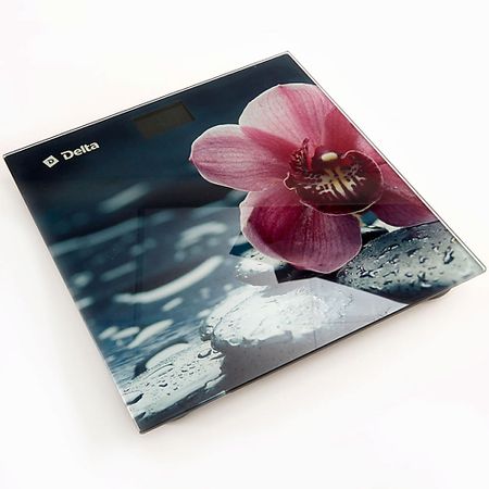 Напольные весы DELTA Весы напольные электронные D-9232/1 