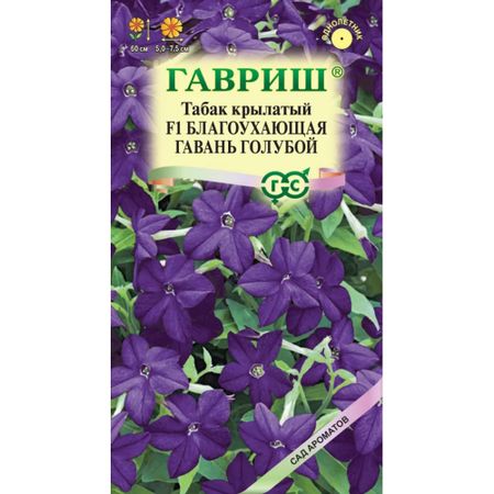 Семена Гавриш Табак Благоухающая гавань голубой F1 крылатый  4 шт. пробирка, серия Сад ароматов светлана чередниченко крылатый ковчег