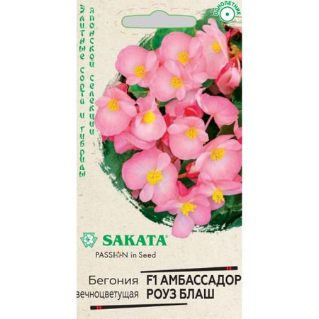 Семена Гавриш Бегония амбассадор роуз блаш 4 шт пробир