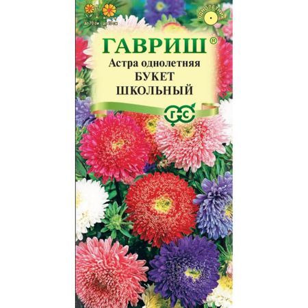 Семена Гавриш Астра букет школьный. Однолетняя  0.3 г