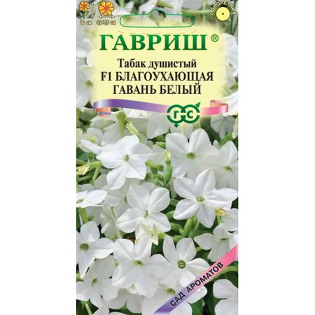 Семена Гавриш Табак Благоухающая гавань белый F1 крылатый  4 шт. пробирка, серия Сад ароматов