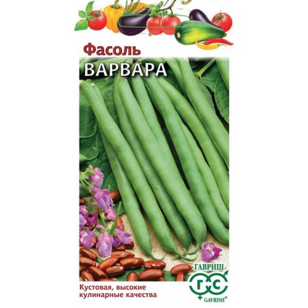 Семена Гавриш Фасоль Варвара, кустовая, зеленая, 5,0 г