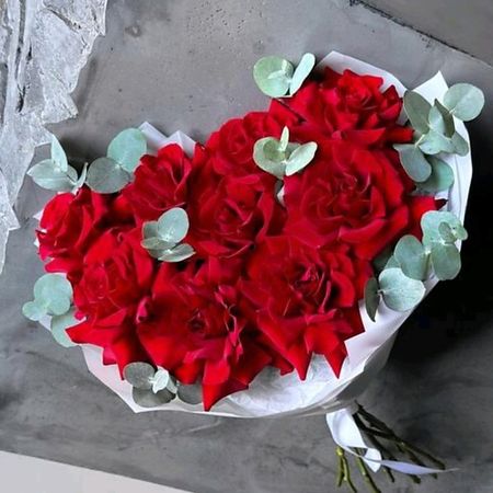 Букет живых цветов SWEET SOFI СТУДИЯ ЦВЕТОВ Французские розы премиум с эвкалиптом