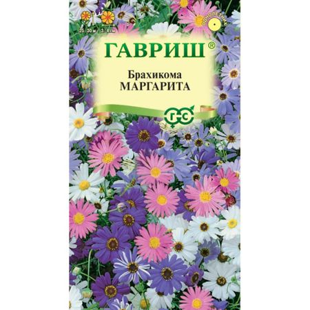 Семена Гавриш Брахикома маргарита 0.02 г малинина маргарита маг и отшельник