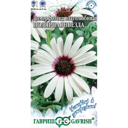 Семена Гавриш Диморфотека Полярная звезда 0,006 г серия Устойчив к заморозкам! мехтап фырат полярная звезда 1