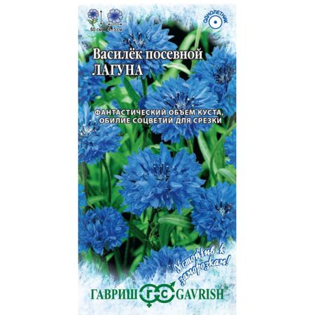 Семена Гавриш Василек Лагуна, посевной 0,2 г серия Устойчив к заморозкам!