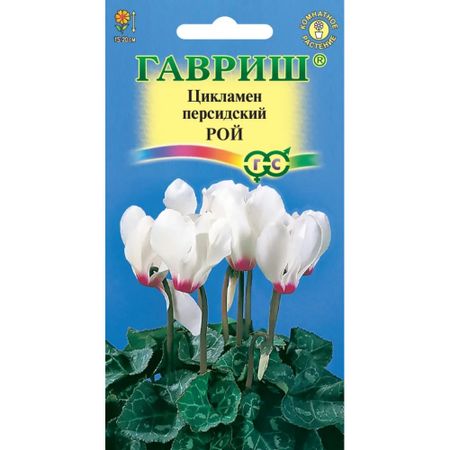 Семена Гавриш Цикламен Рой персидскийx 3 шт.