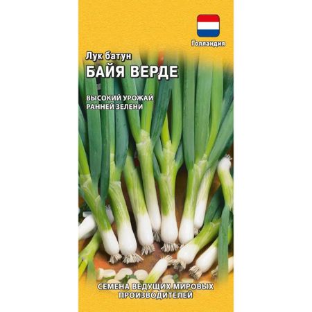 Семена Гавриш Лук батун Байя Верде 0.2 г (Голландия)
