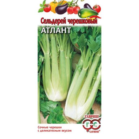 Семена Гавриш Сельдерей черешковый Атлантx 0,006 г