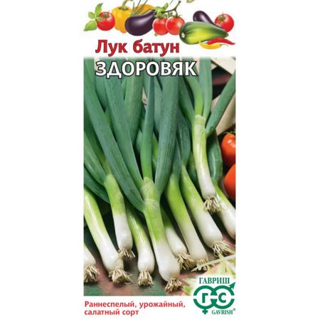 Семена Гавриш Лук батун Здоровяк 0,005 г автор. Н22