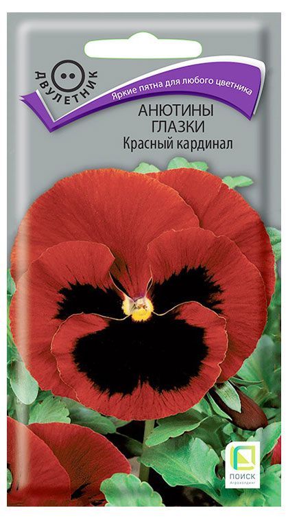 Семена Поиск Анютины глазки Красный кардинал