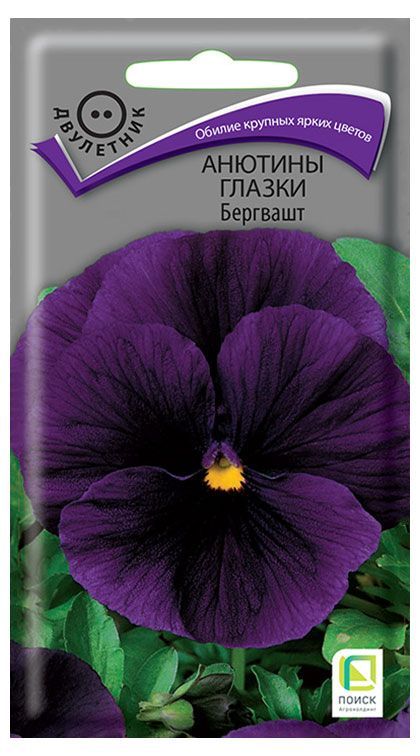 Семена Поиск Анютины глазки Бергвашт, 0,2 г под землей