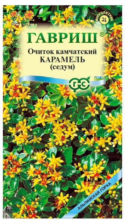 Семена Гавриш Очиток Карамель, 0,01 г листья скелетированные в орр с подвесом 5 шт 7 см зеленые
