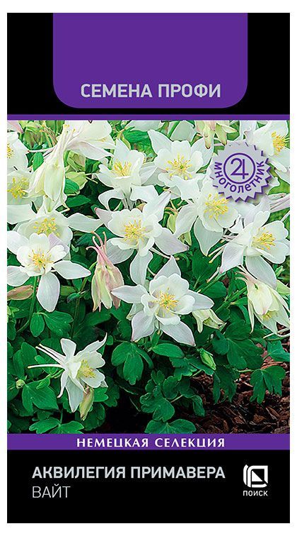 Семена Поиск Аквилегия Примавера Вайт, 5 шт