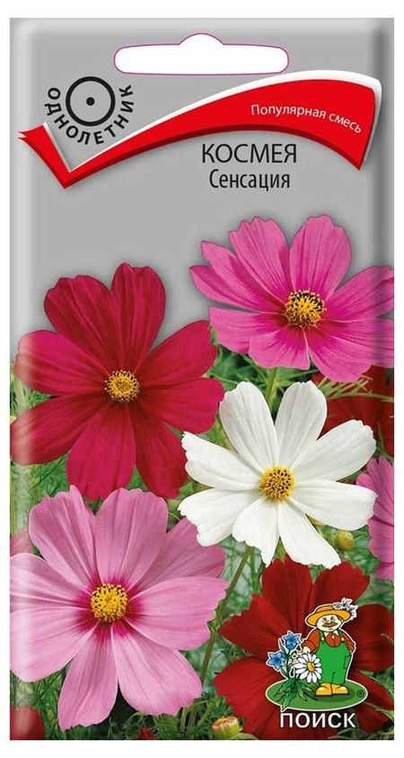 Семена Космея Поиск Сенсация, 0,3 г пол тремблей то что растет