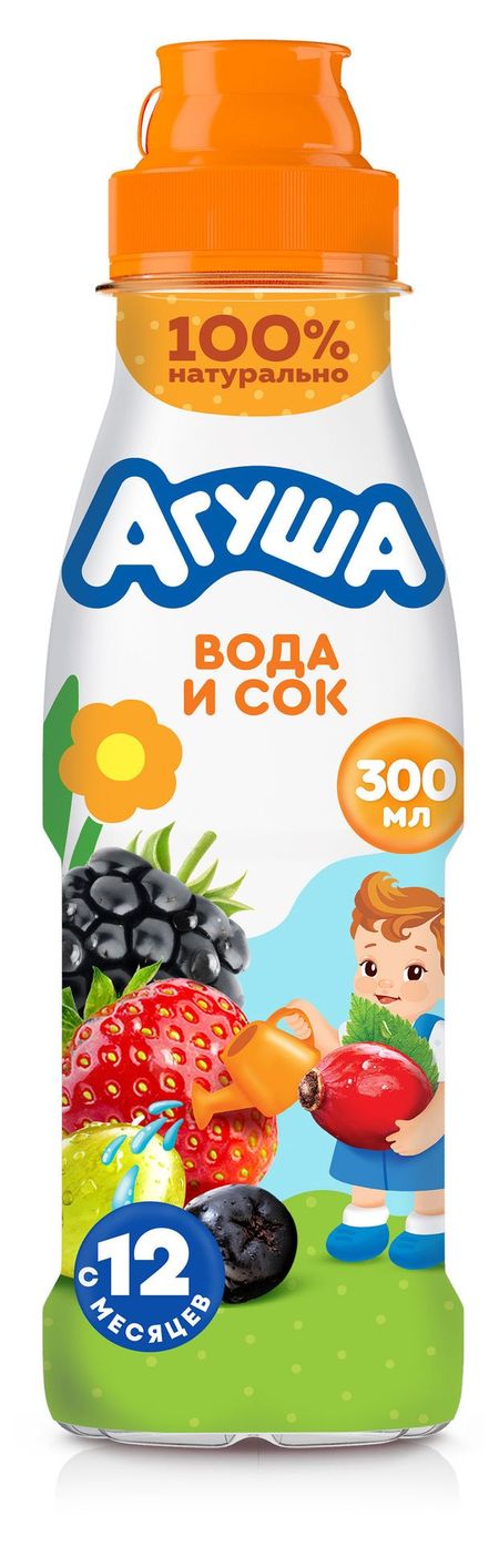 Напиток сокосодержащий Агуша Ягоды садовые с 12 мес., 300 мл