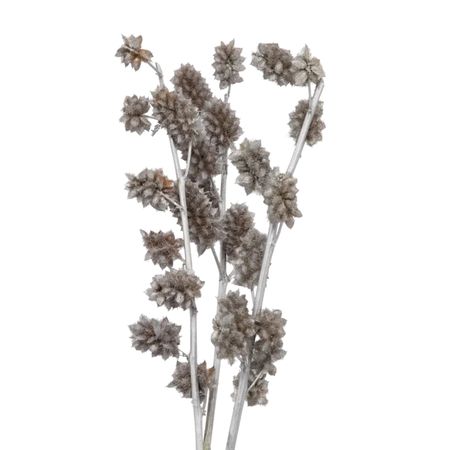 Сухоцветы Donna Flor солодка, 3 ветки, серебристый металлик, 60 см